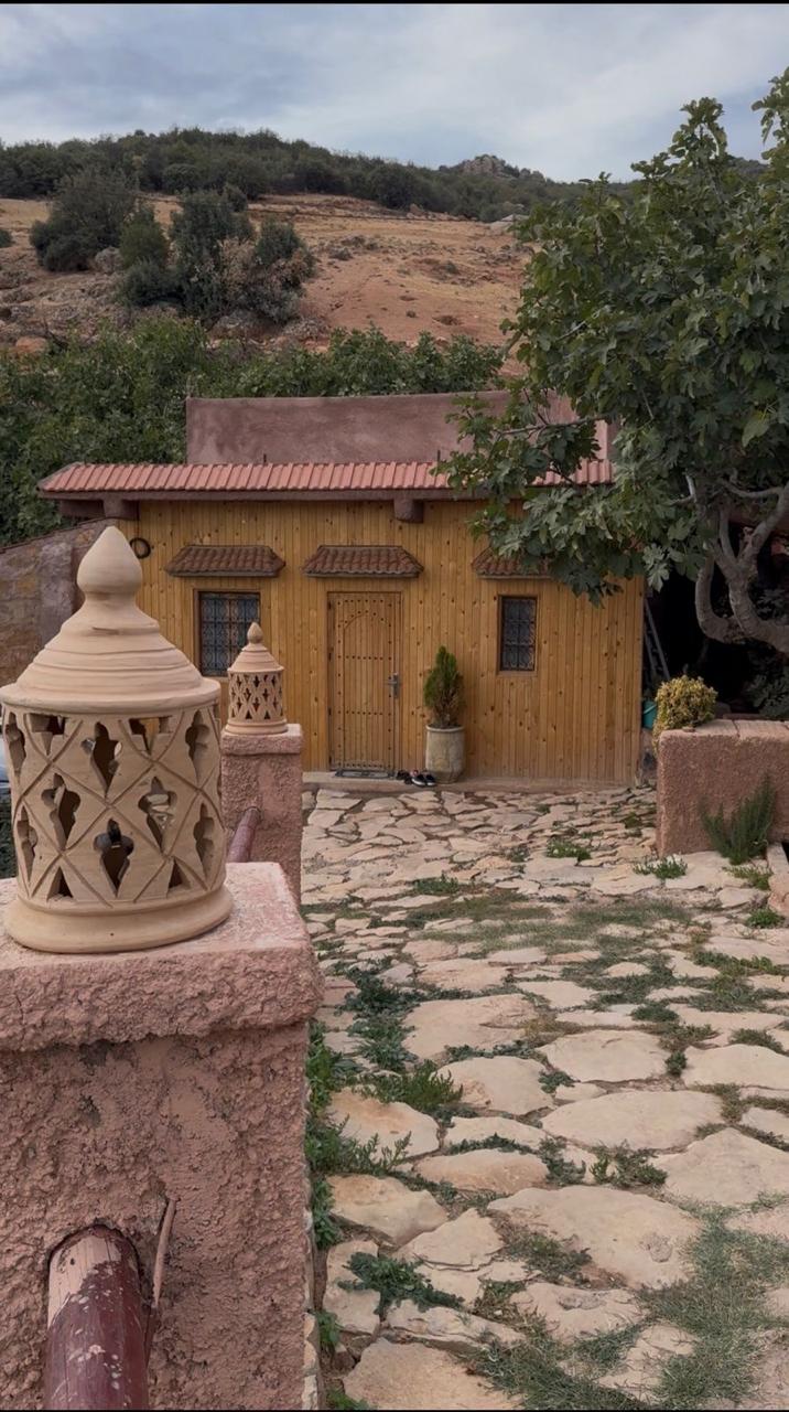 Bungalow de Charme INNA – Zellige de Fès, Jardin Verdoyant & Petit-Déjeuner Bio Inclus — photo