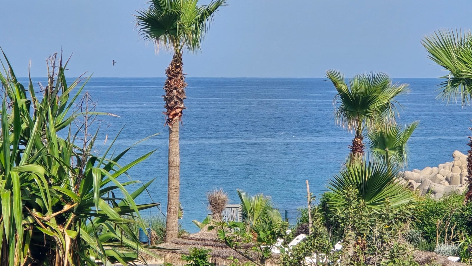 1ère Ligne Vue Mer, Piscine & Forêt – Playa Del Pacha (64 m²) — M'diq, Maroc