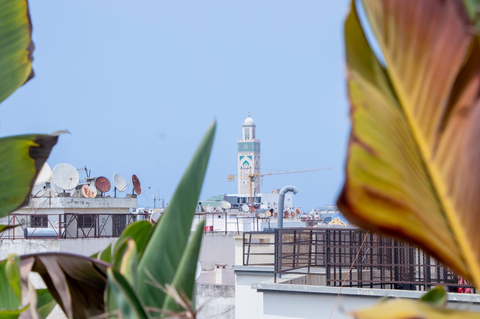 Cocon Carré d'Or Bourgogne - Rooftop & Gym — photo